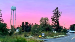 Blog Napavine